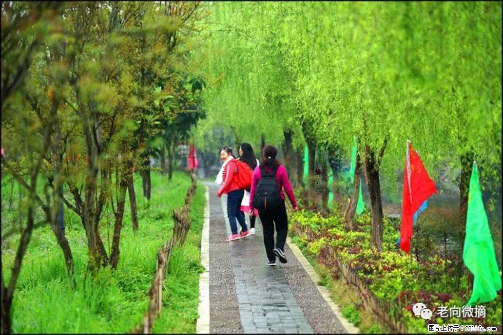 【春天，广西桂林灌阳县向您发出邀请！】江口老街又逢春 - 游山玩水 - 张家口生活社区 - 张家口28生活网 zjk.28life.net
