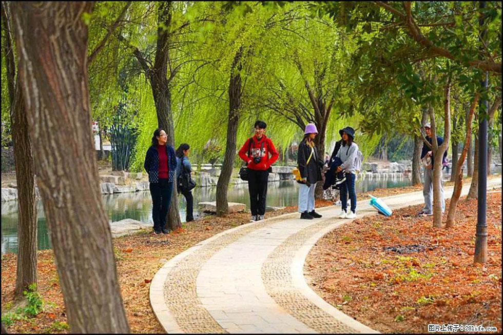 【春天，广西桂林灌阳县向您发出邀请！】江口老街又逢春 - 游山玩水 - 张家口生活社区 - 张家口28生活网 zjk.28life.net