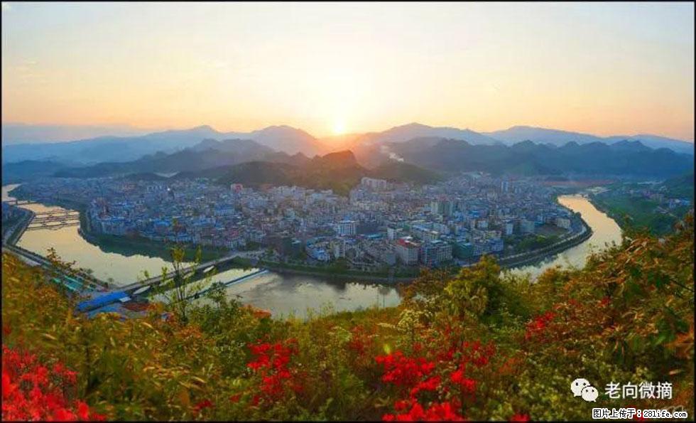 【春天，广西桂林灌阳县向您发出邀请！】登麒麟山，相约映山红 - 游山玩水 - 张家口生活社区 - 张家口28生活网 zjk.28life.net