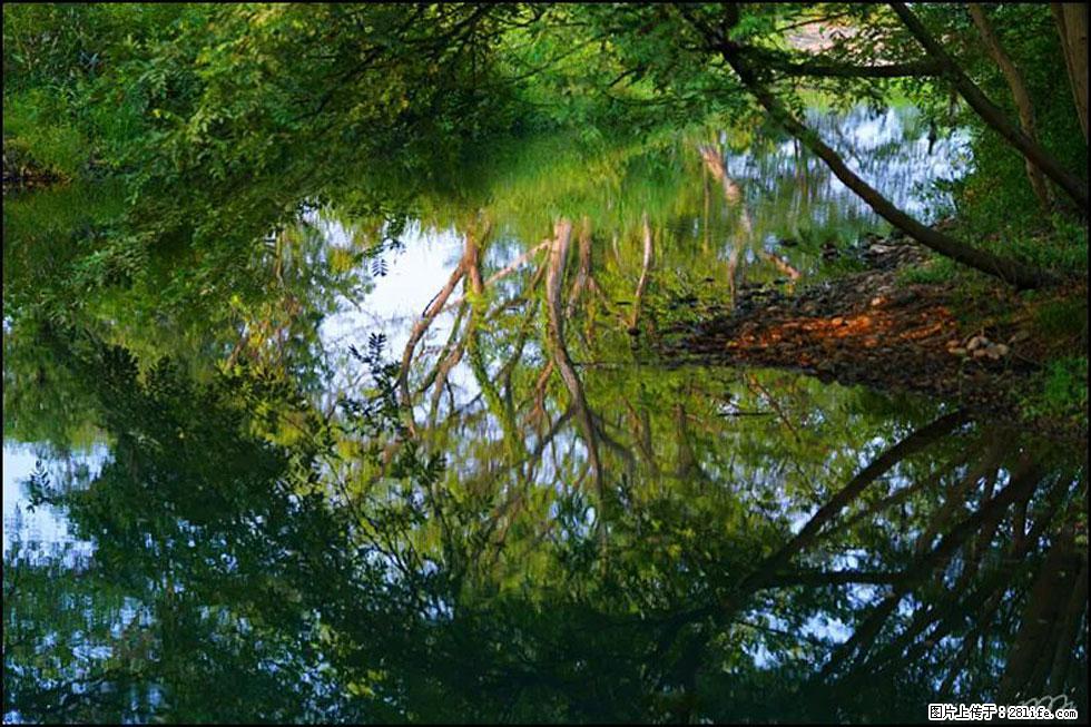 【春天，广西桂林灌阳县向您发出邀请！】熊家寨湿地公园 - 游山玩水 - 张家口生活社区 - 张家口28生活网 zjk.28life.net
