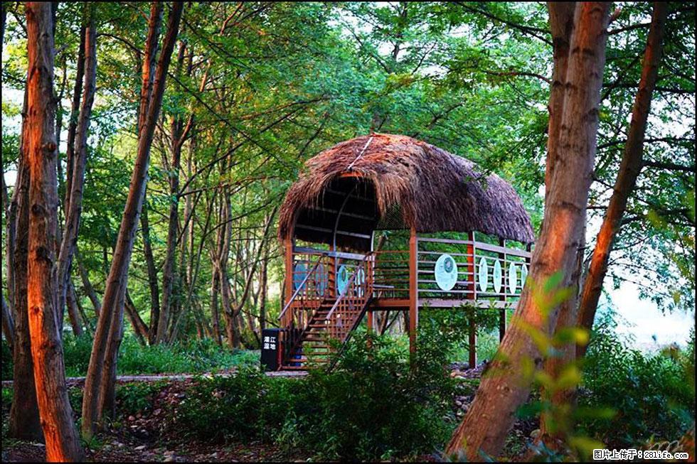 【春天，广西桂林灌阳县向您发出邀请！】熊家寨湿地公园 - 游山玩水 - 张家口生活社区 - 张家口28生活网 zjk.28life.net