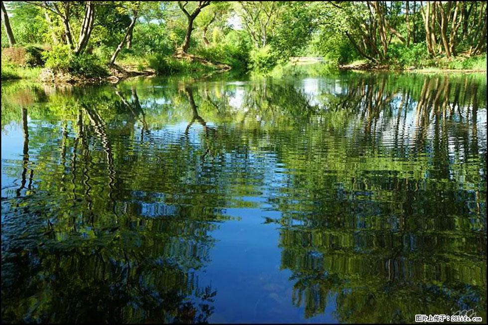 【春天，广西桂林灌阳县向您发出邀请！】熊家寨湿地公园 - 游山玩水 - 张家口生活社区 - 张家口28生活网 zjk.28life.net