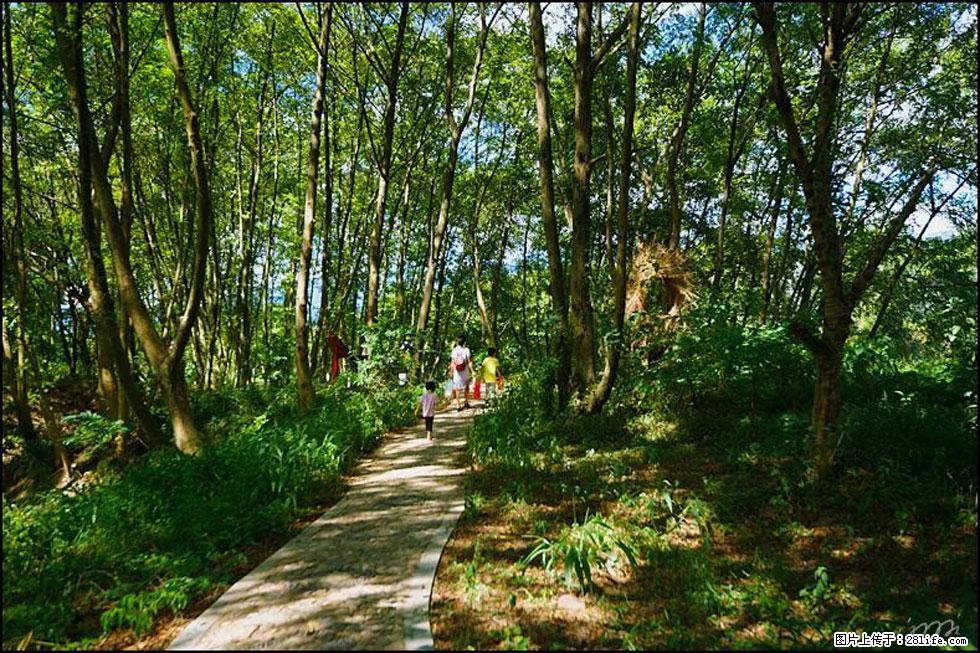 【春天，广西桂林灌阳县向您发出邀请！】熊家寨湿地公园 - 游山玩水 - 张家口生活社区 - 张家口28生活网 zjk.28life.net