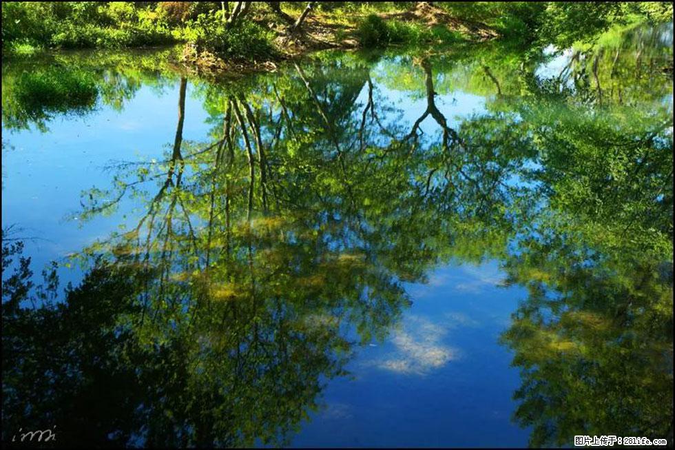 【春天，广西桂林灌阳县向您发出邀请！】熊家寨湿地公园 - 游山玩水 - 张家口生活社区 - 张家口28生活网 zjk.28life.net
