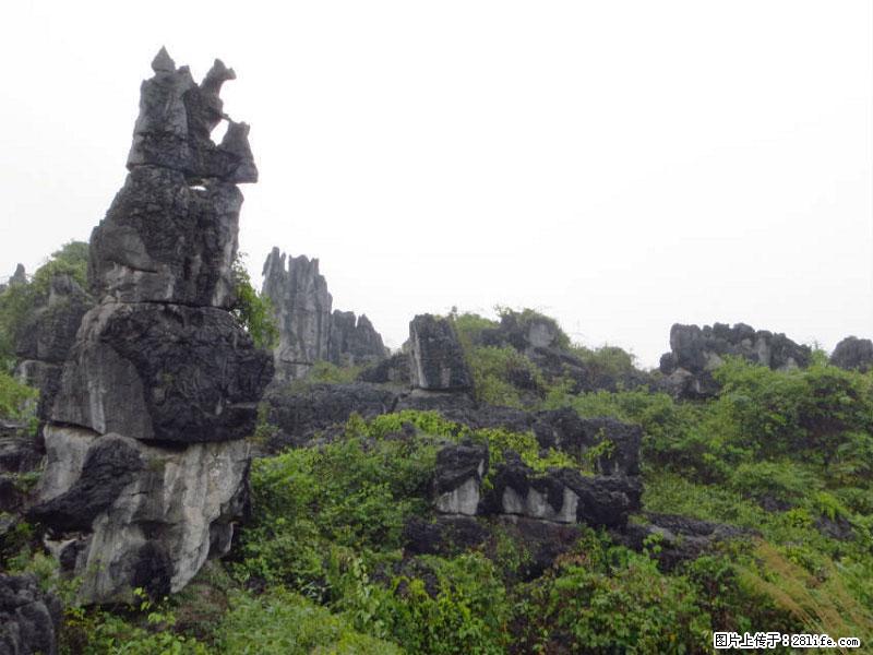 桂林旅游名城景点：灌阳文市石林 - 游山玩水 - 张家口生活社区 - 张家口28生活网 zjk.28life.net