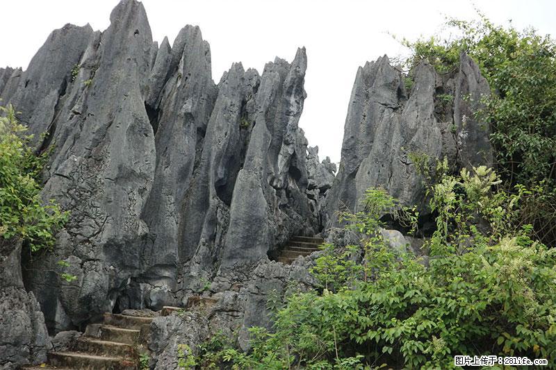 桂林旅游名城景点：灌阳文市石林 - 游山玩水 - 张家口生活社区 - 张家口28生活网 zjk.28life.net