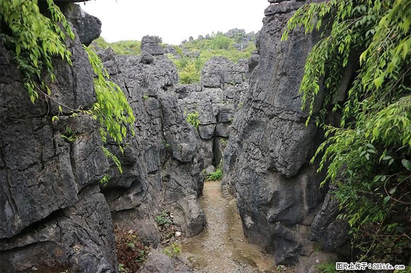 桂林旅游名城景点：灌阳文市石林 - 游山玩水 - 张家口生活社区 - 张家口28生活网 zjk.28life.net