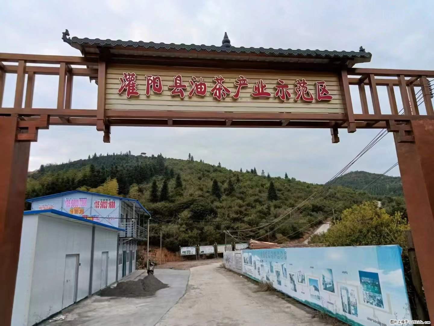 【灌阳县油茶产业示范区】一个有着充实的精神生活的人，对待身外之物自会有一种淡泊的态度 - 土特产 - 饮食特产 - 张家口分类信息 - 张家口28生活网 zjk.28life.net