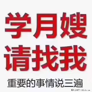 为什么要学习月嫂，育婴师？ - 张家口28生活网 zjk.28life.net