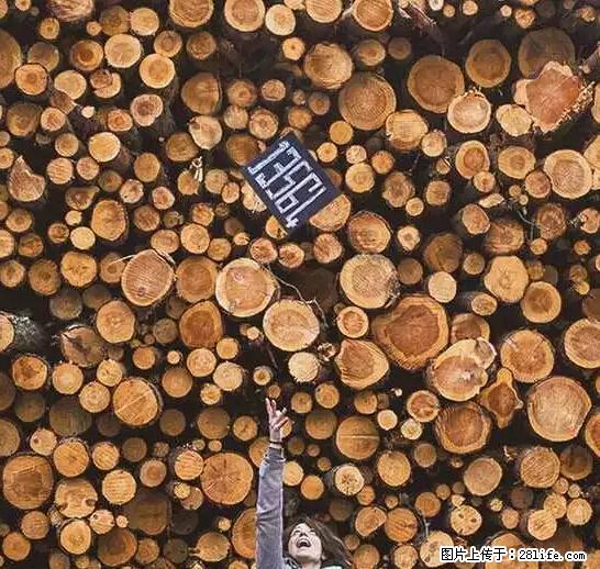 辞掉工作周游世界？现在他们在洗厕所…… - 游山玩水 - 张家口生活社区 - 张家口28生活网 zjk.28life.net