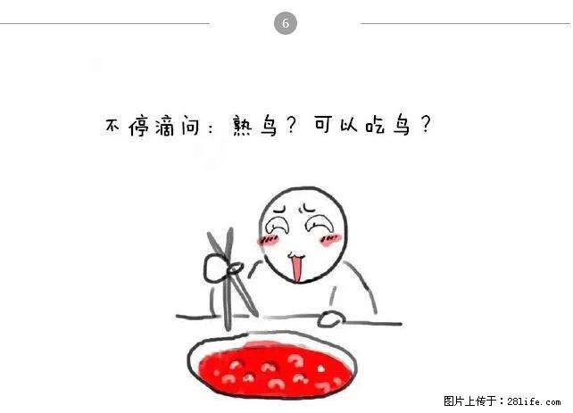 千万不要和这9种哈卵一起吃火锅！ - 美食天地 - 张家口生活社区 - 张家口28生活网 zjk.28life.net