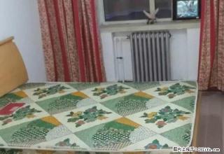 好房子拎包入住干净全家具电器拎包入住 - 张家口28生活网 zjk.28life.net