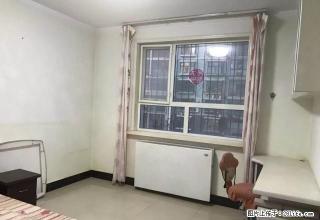 唯二奥林星城 乐购 可洗澡做饭能短租 精装修 有钥匙随时看房 - 张家口28生活网 zjk.28life.net