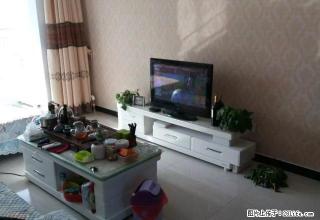 高新一幼，南站附近2室精装修，全家具电器，随时入住。拎包入住 - 张家口28生活网 zjk.28life.net
