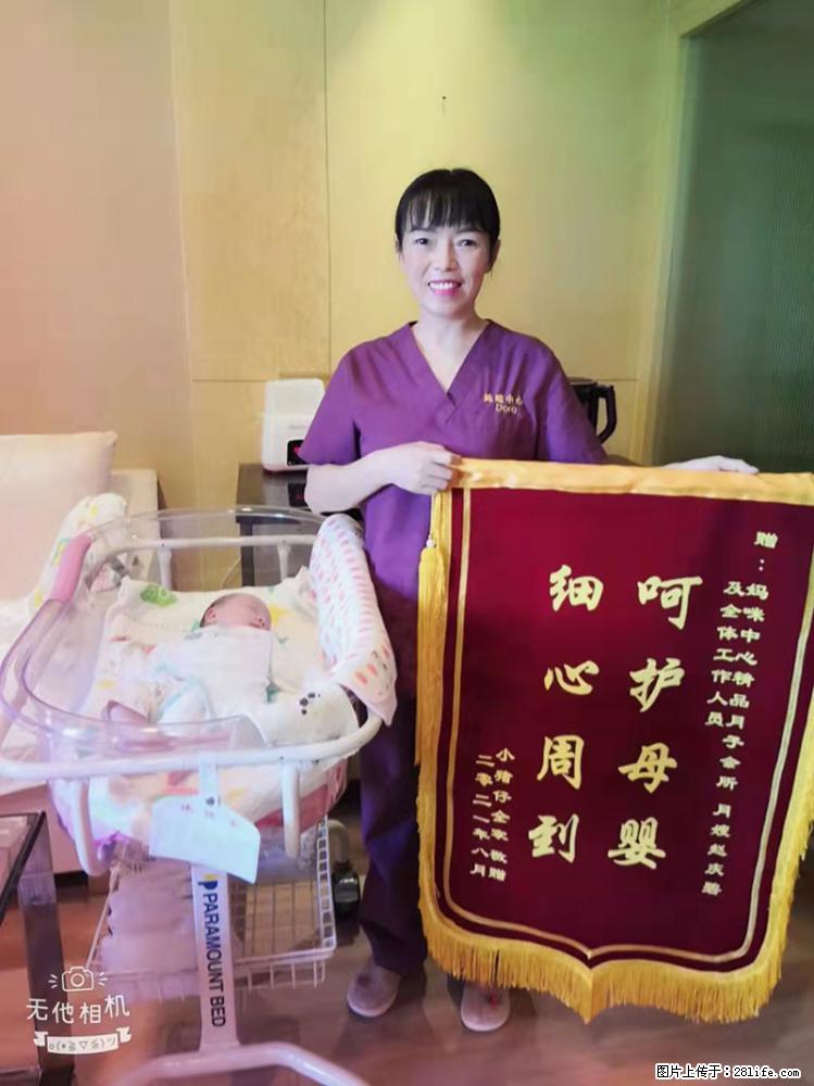 上海高端月子会所招新手月嫂，零基础带教，包吃住 - 职场交流 - 张家口生活社区 - 张家口28生活网 zjk.28life.net