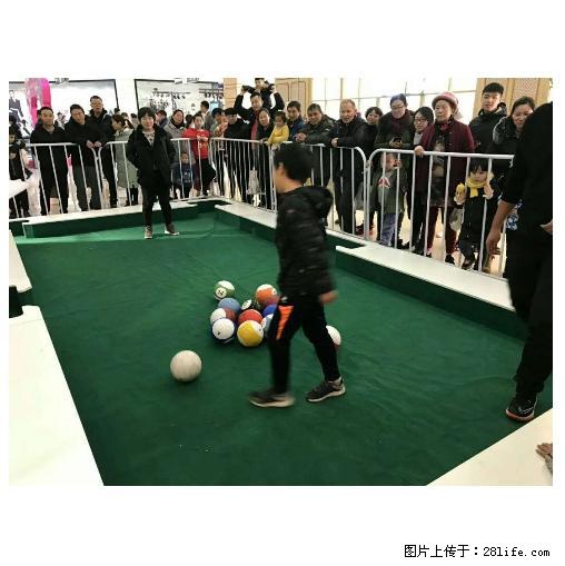 奥锐五一活动租赁真人版台球 - 综合信息 - 其他综合 - 张家口分类信息 - 张家口28生活网 zjk.28life.net