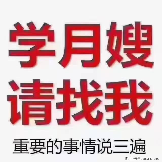 【招聘】月嫂，上海徐汇区 - 职场交流 - 张家口生活社区 - 张家口28生活网 zjk.28life.net
