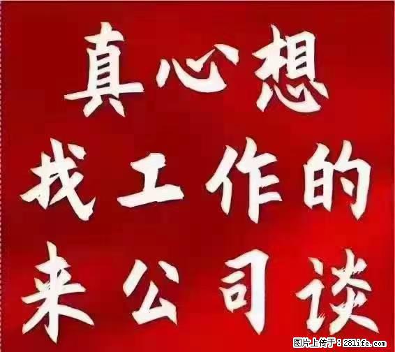 【上海】国企，医院招两名男保安，55岁以下，身高1.7米以上，无犯罪记录不良嗜好 - 职场交流 - 张家口生活社区 - 张家口28生活网 zjk.28life.net