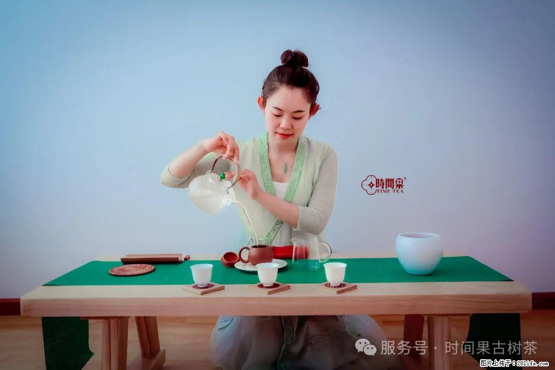 时间果百年古树龙珠普洱生茶 - 购物交流 - 张家口生活社区 - 张家口28生活网 zjk.28life.net