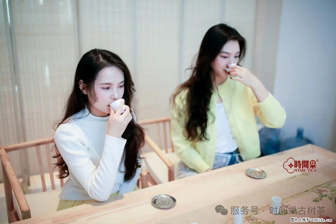 时间果百年古树龙珠普洱生茶 - 购物交流 - 张家口生活社区 - 张家口28生活网 zjk.28life.net