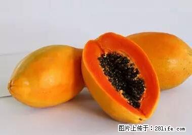 晕车、脚气、牙齿变黄、皮肤粗糙？学会这些三分钟搞定！ - 张家口生活资讯 - 张家口28生活网 zjk.28life.net