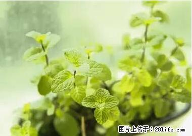 晕车、脚气、牙齿变黄、皮肤粗糙？学会这些三分钟搞定！ - 张家口生活资讯 - 张家口28生活网 zjk.28life.net