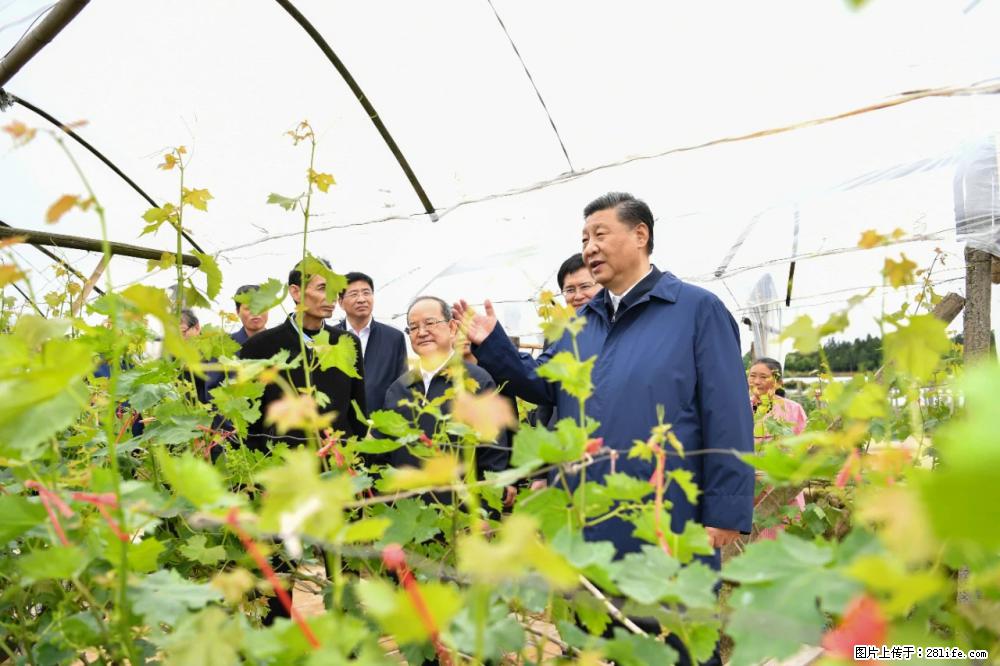 习近平赴广西考察调研 - 张家口生活资讯 - 张家口28生活网 zjk.28life.net