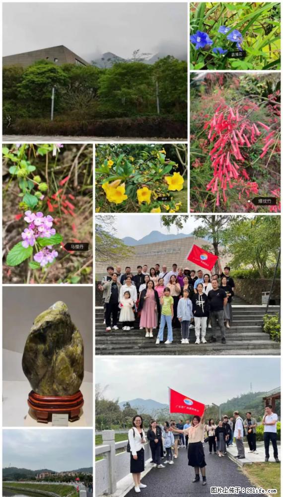 “粤灌文化 美好生活”油茶文化主题活动在广东深圳成功举办 - 张家口生活资讯 - 张家口28生活网 zjk.28life.net