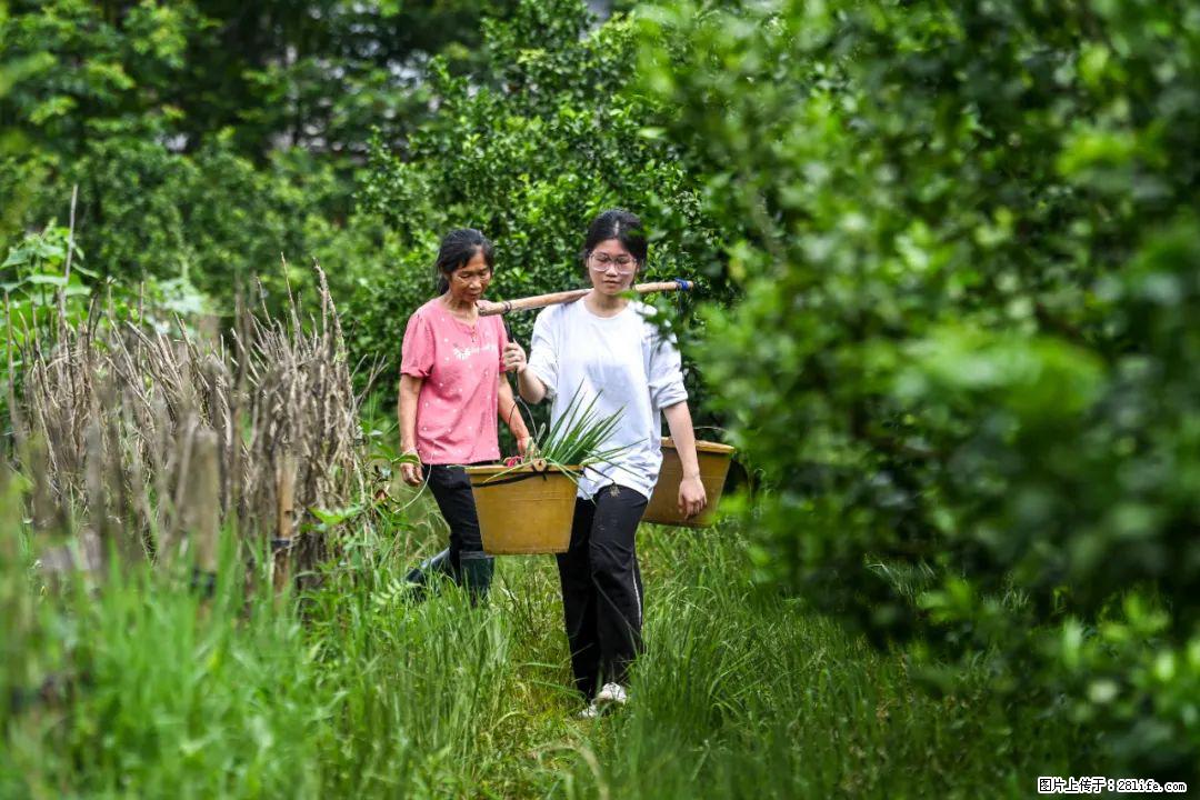 全网追的“扁担女孩”，找了一份暑假工，时薪12元 - 张家口生活资讯 - 张家口28生活网 zjk.28life.net