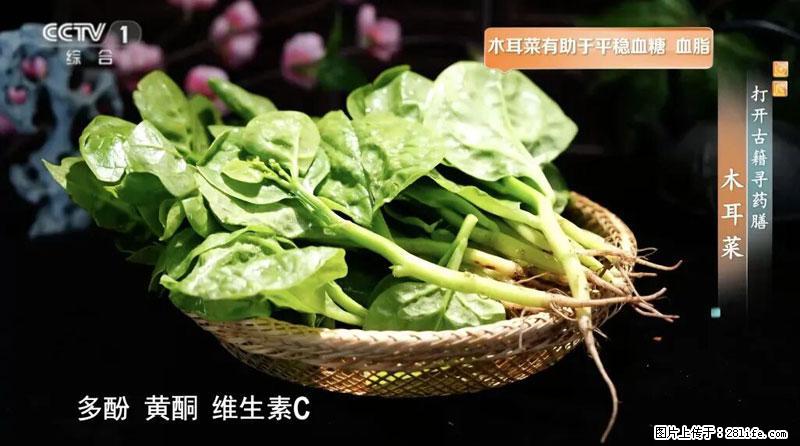 比牛奶补钙还厉害！凉血解毒、稳血糖...这菜冬天必吃，很多人却当草 - 张家口生活资讯 - 张家口28生活网 zjk.28life.net