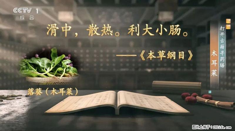 比牛奶补钙还厉害！凉血解毒、稳血糖...这菜冬天必吃，很多人却当草 - 张家口生活资讯 - 张家口28生活网 zjk.28life.net