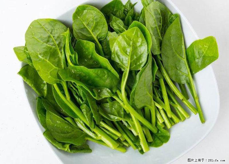 这些蔬菜是“天然钙片”，这6种被医生重点推荐 - 张家口生活资讯 - 张家口28生活网 zjk.28life.net
