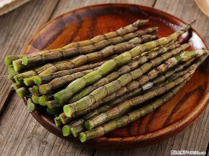 铁皮石斛的作用与功能主治 - 张家口生活资讯 - 张家口28生活网 zjk.28life.net