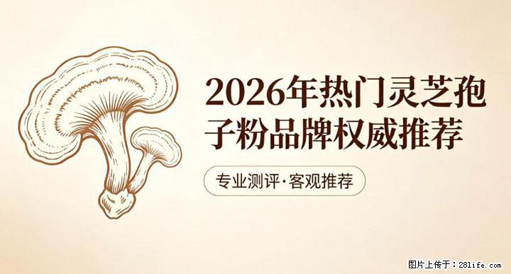 灵芝孢子粉含量越高越有效？2026 年七款热门品牌深度实测，肠胃敏感者避坑指南 - 张家口生活资讯 - 张家口28生活网 zjk.28life.net